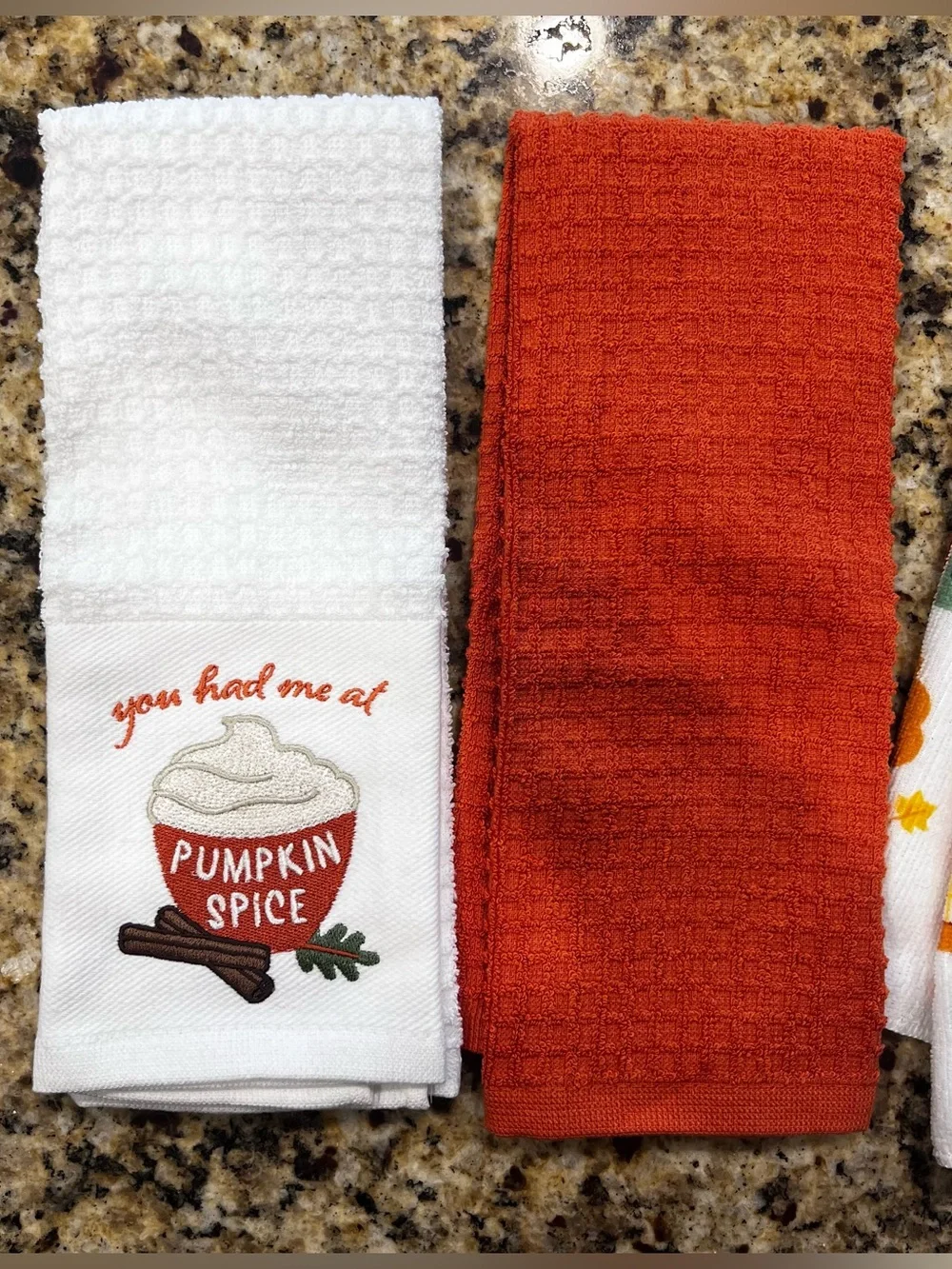 New Without Tags Autumn Kitchen Towel Set - Pumpkin Spice & Fall Feels